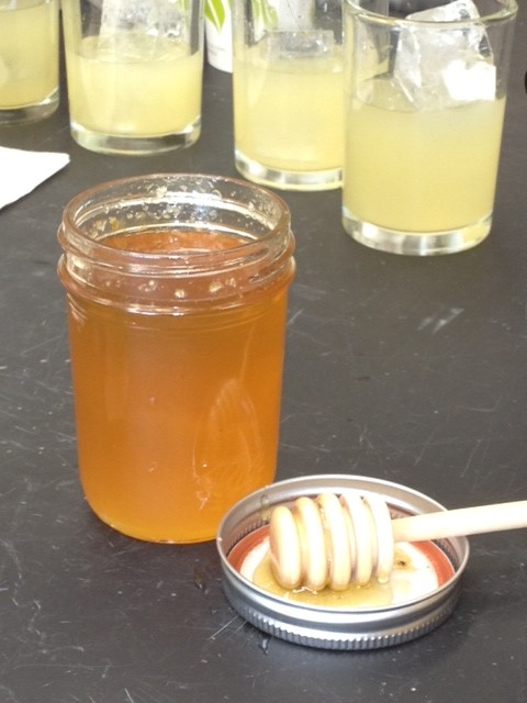 [Vid] GW Shows Off Its Honey Harvest
