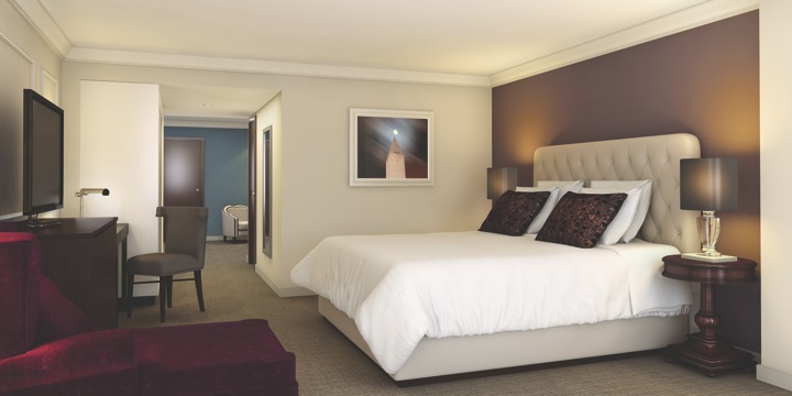 Guest Suite Bedroom Area 1-1