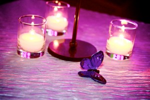 Guests adorned themselves in these butterflies in support of Fair Chance - Photography by Susannah McPhelim