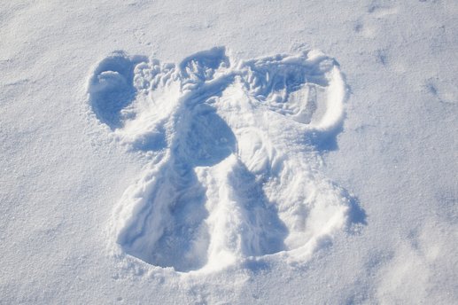 OK, it Snowed.  You Made Snow Angels.  Now what?!