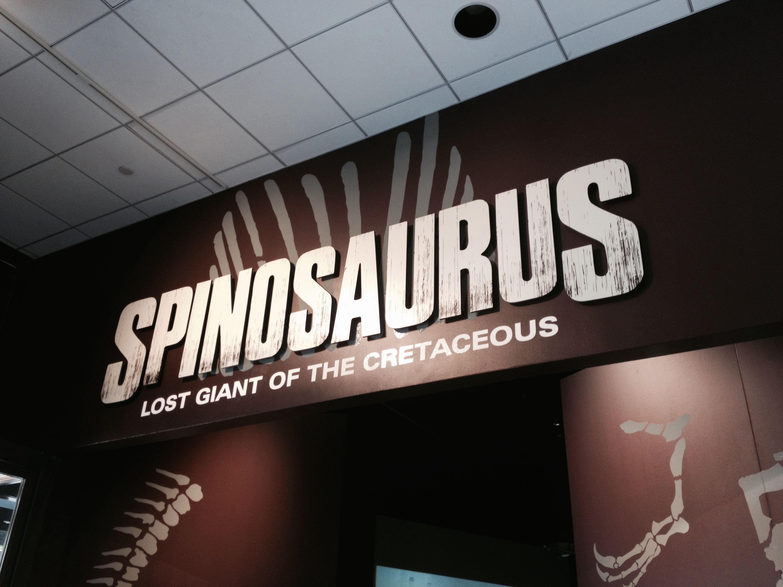 National Geographic Debuts Spinosaurus!