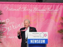 Cherry Blossoms Peak Prediction Announced for 103rd Festival