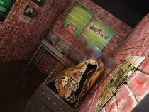 Crime Museum Opens Wildlife Trafficking Exhibit