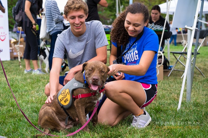 WHS Adoptable Dog Penny & Event Participants - Photo by Moshe Zusman (6)