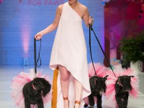 [Party Pix] Inside the 10th Annual Fashion for Paws