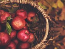 Want to Getaway This October? Apple Harvest in the Shenandoah