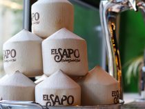El Sapo Social Club Brings Cuban Food, Flair to Silver Spring