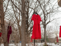 REDress Project: An Absent Art Installation with a Present Purpose