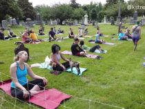 Vid: Baby Goat Yoga in the Historic Congressional Cemetery!
