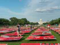 Massive Monument Quilt Blankets National Mall