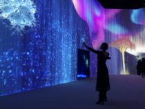 ARTECHOUSE Enchants With Northern Lights in AURORA