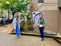 Plant Donation for DC Hospital Also Boosts Local Small Business