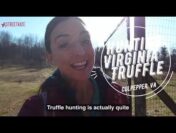 Virginia Truffle Hunting, An Adventure Less Than 2 Hours from DC