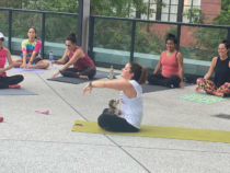 Puppy Yoga! Bethesda Canopy Introduces New A Dog’s Life Package