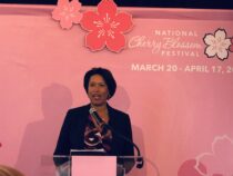 Cherry Blossom Peak Bloom Projected March 22-25, 2022