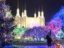 Washington DC Temple Brings Back Stunning Festival of Lights