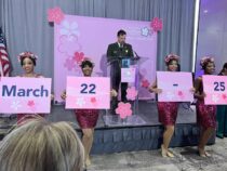Cherry Blossom Festival 2023 Peak Date, Other Events Announced