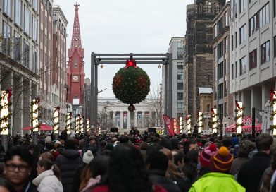 2025_12_13_NationalMistletoe-149