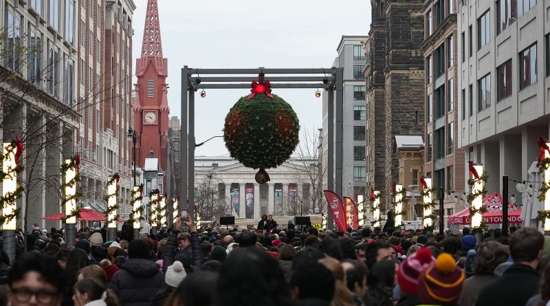 2025_12_13_NationalMistletoe-149