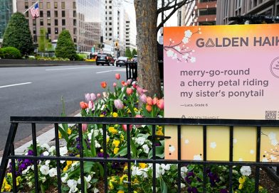 2026-haiku-announcement_1280x600