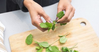 woman-tearing-mint-leaves