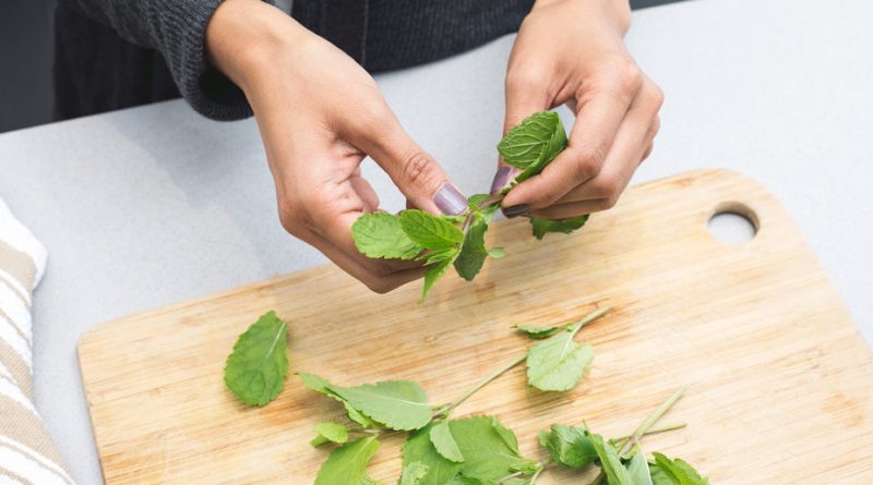 woman-tearing-mint-leaves